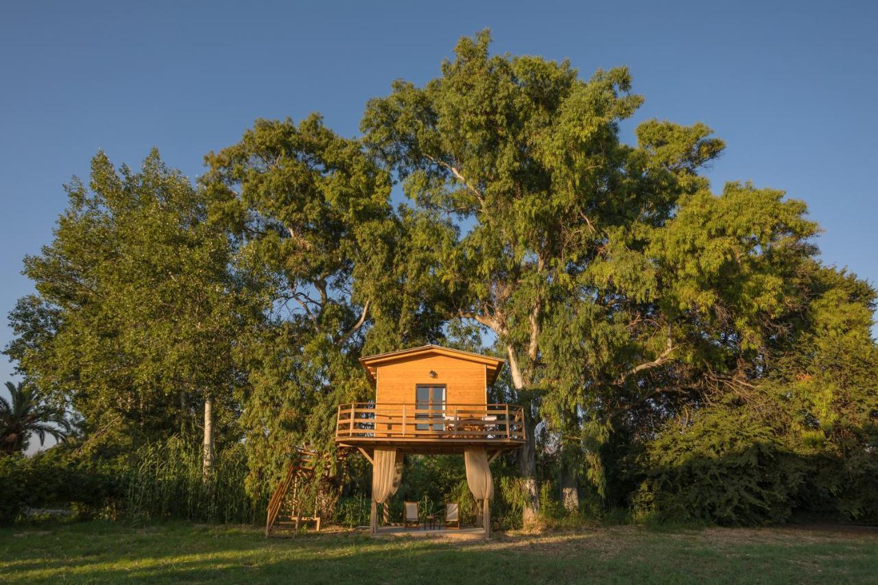 River Treehouse Laganász Kültér fotó